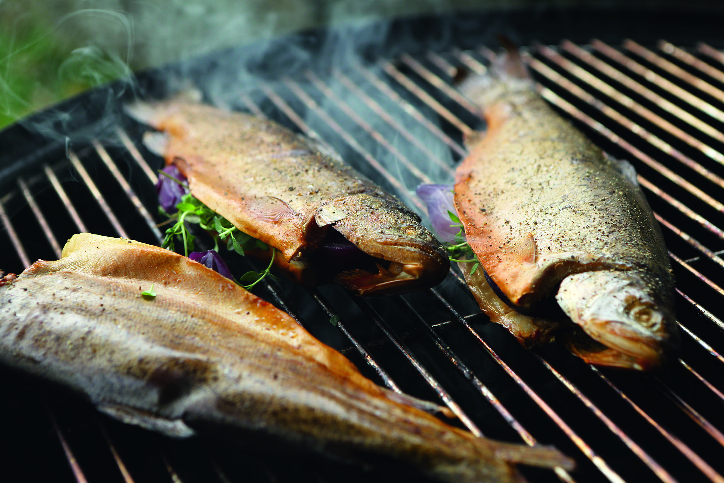 perfekt gegrillter Fisch auf dem Grill